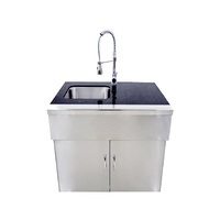 Deluxe Outdoor Kitchen Sink Unit
